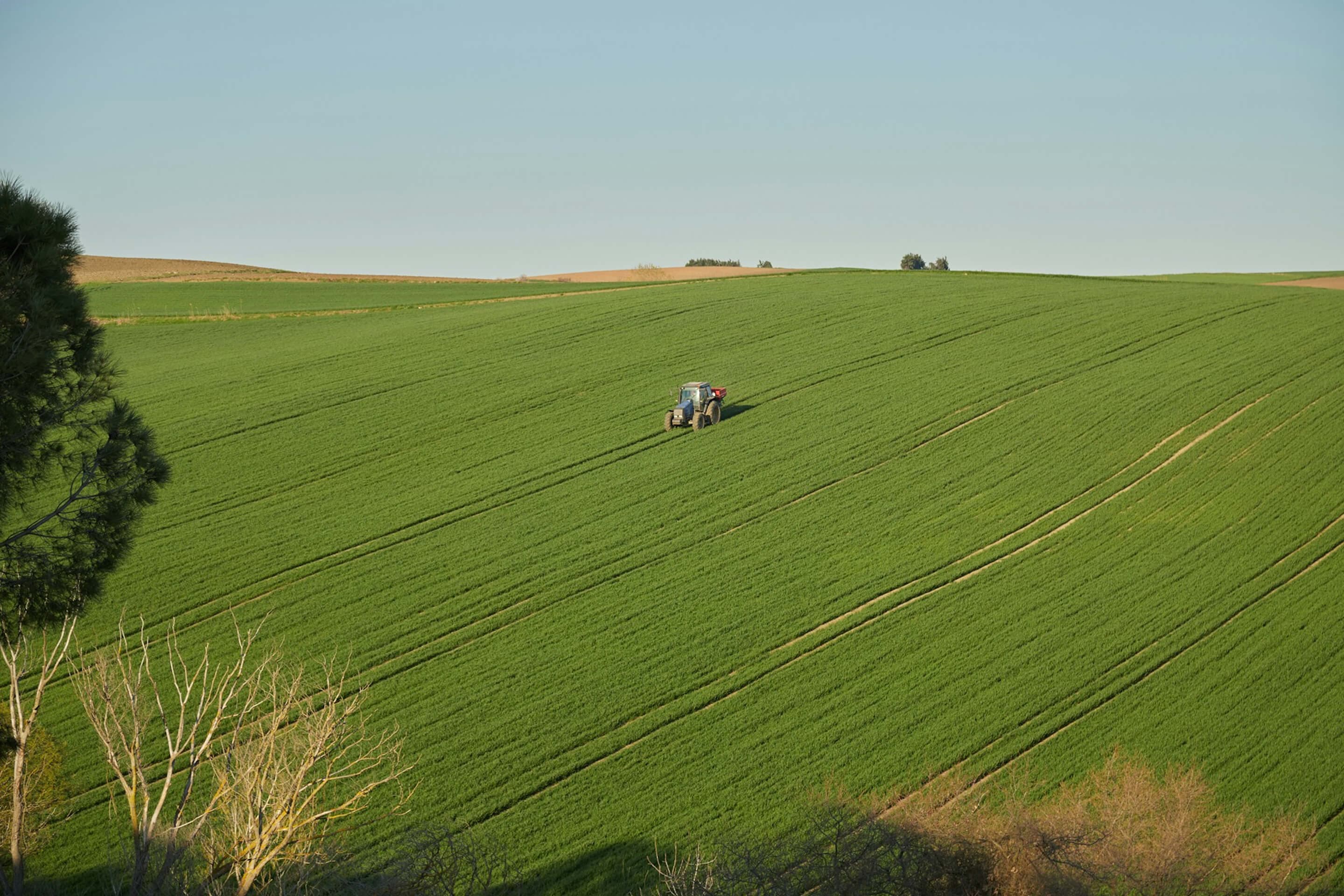Un seul tracteur dans un champ planté de très grande taille